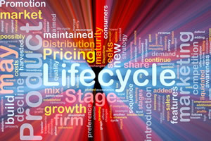 Life Cycle Costing Life Cycle Costing